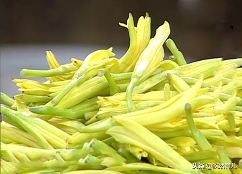 怀孕期间这七种蔬菜不要乱吃,怀孕期间的蔬菜孕妈最好忌口