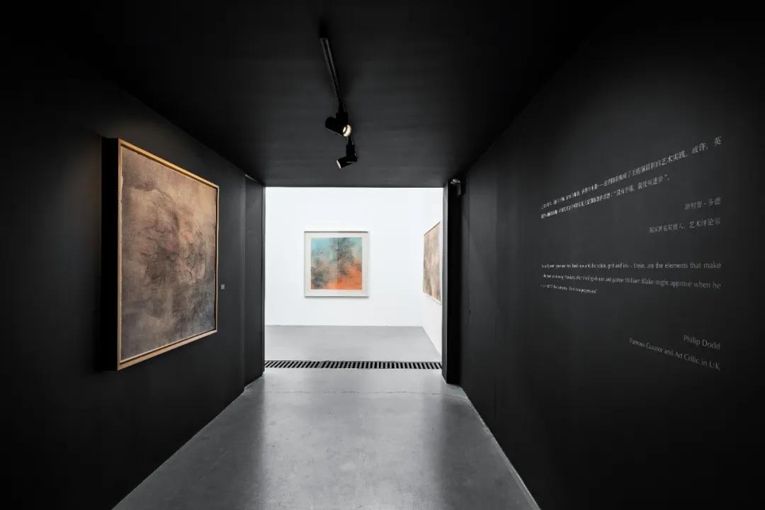 王绍强双年展,王绍强作品展