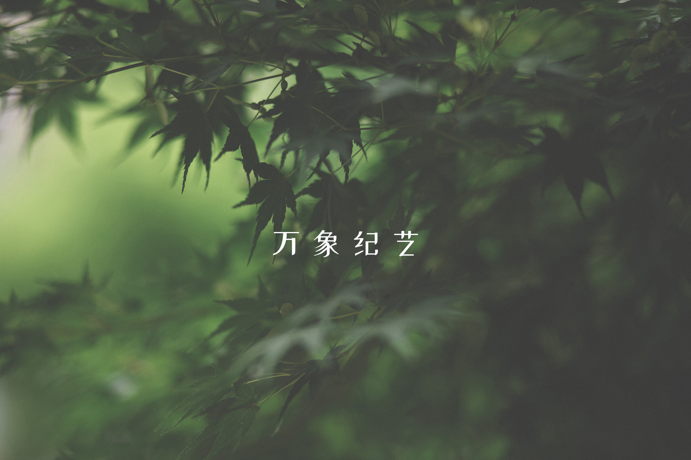 手绘屏保图片手机壁纸,手机壁纸屏保图片可保存至相册