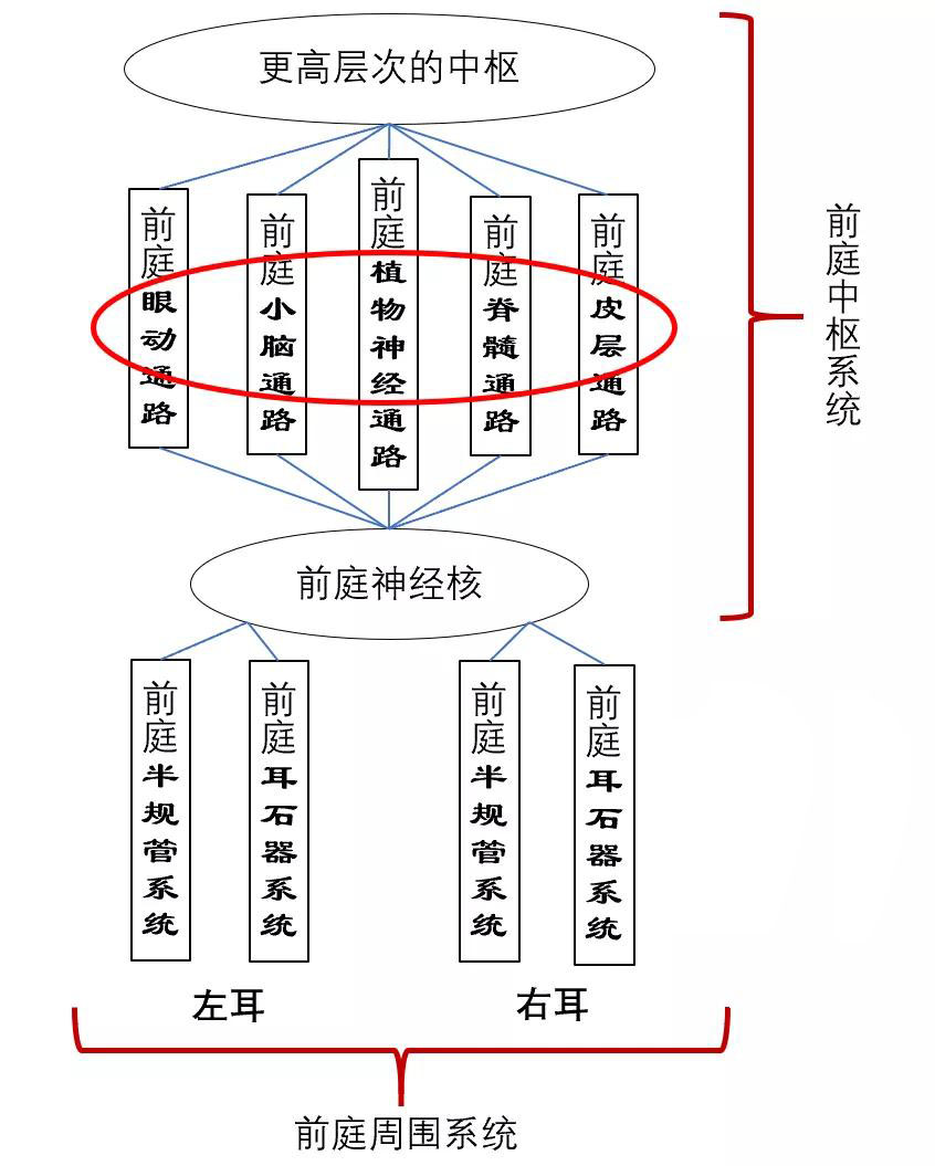 眩晕治疗方案选择什么药物,治疗各种眩晕的症状中成药