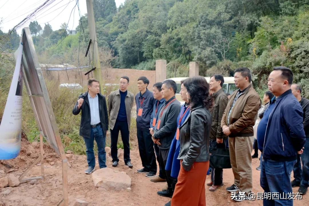 区人大代表可以视察吗,区人大到我校视察工作