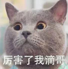 史上最污技术解读，我竟秒懂！