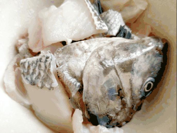 豆芽神奇之处,营养好又美味的豆芽