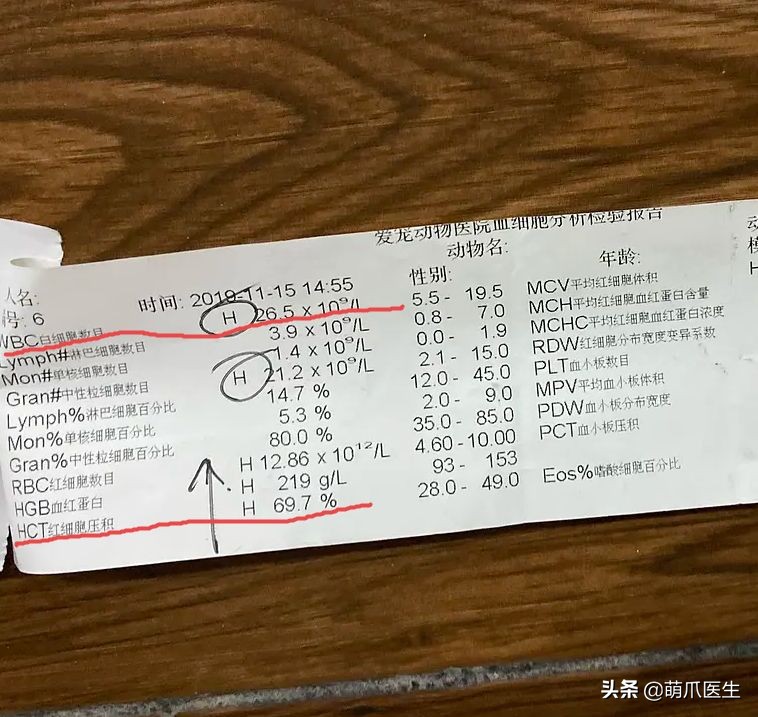 go猫粮翻车了怎么处理,猫吃猫粮死了