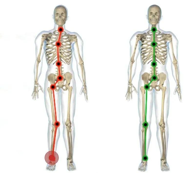 六种好看腿型,几种好看的腿型