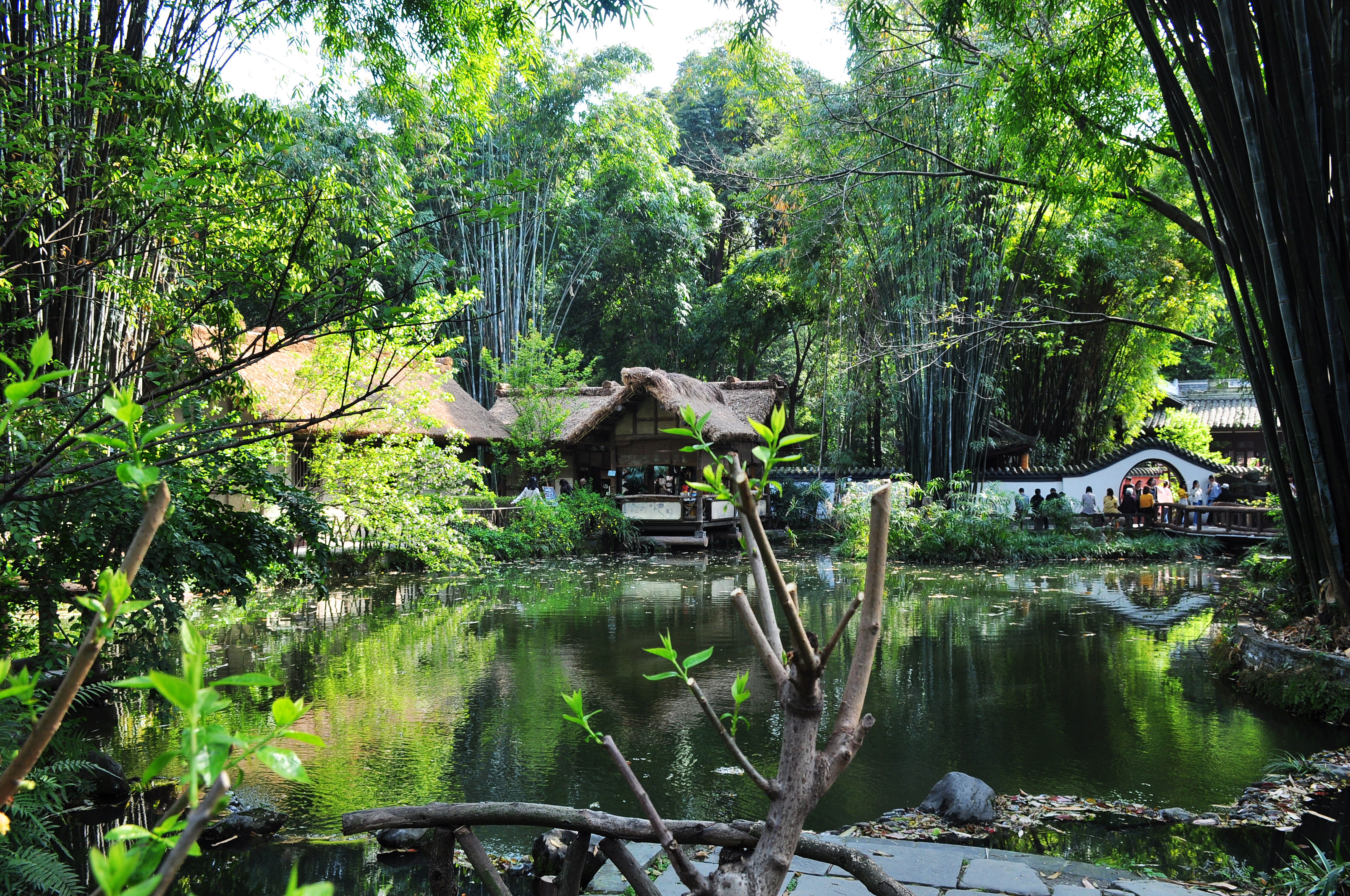 百年川菜史,百年川菜传奇二十回