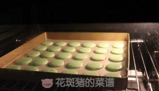 卡仕达马卡龙多少钱,极致马卡龙