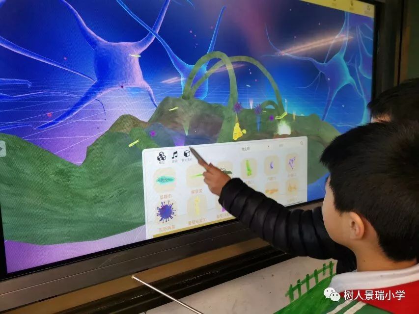 为什么提到树人小学,树人小学为什么好