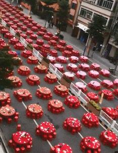 在野外发现甘蔗,在山里发现甘蔗