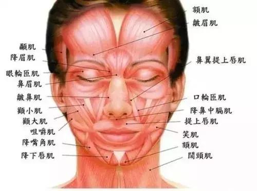 肉毒素瘦脸的保持时间,肉毒素也能瘦脸吗