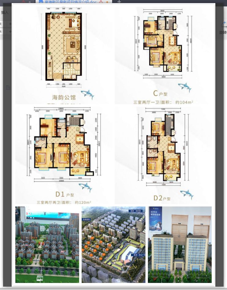 南海新区具有什么特点,南海新区详细介绍