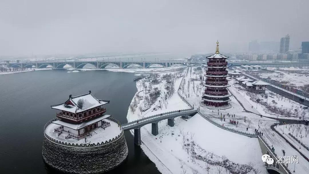 洛阳牡丹花会邀请,洛阳邀请全世界人民看牡丹