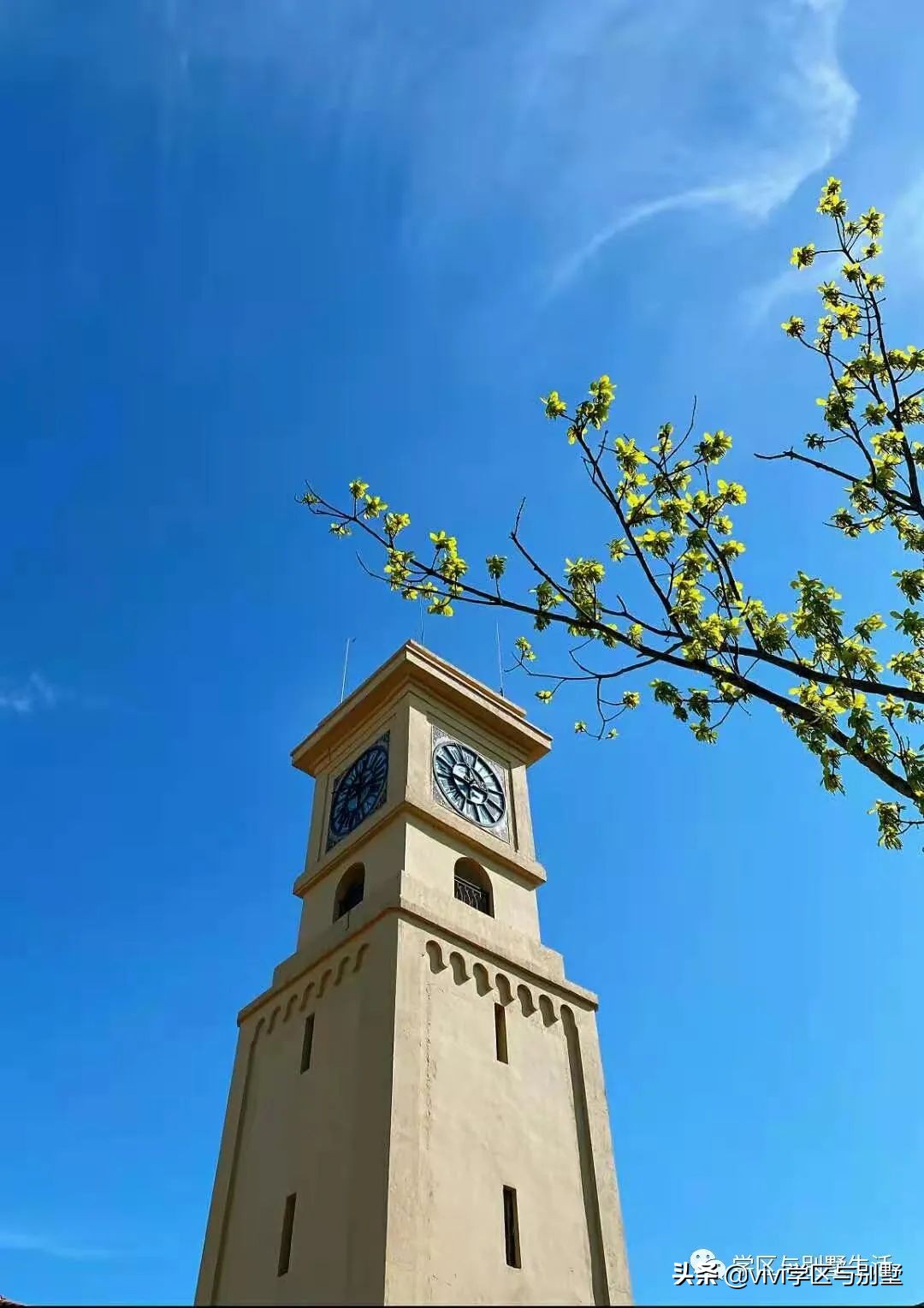 格拉斯小镇别墅外观图,格拉斯小镇2000平别墅