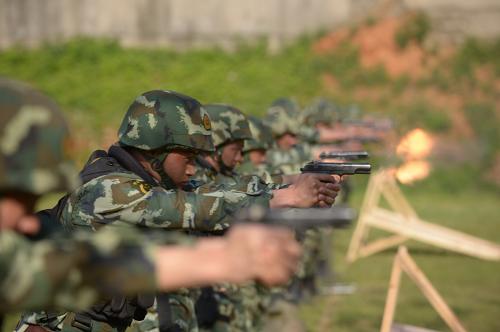 *器武**不同但口径相同，就能使用所有同口径*弹子**吗？其实没那么容易