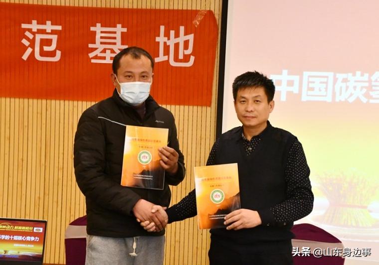 碳氢核肥,山东碳氢核肥代理多少费用