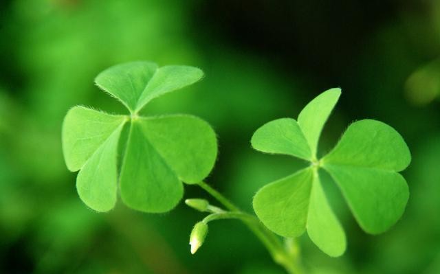 恰同学少年风华正茂什么时候写的,恰同学少年弹指一挥间