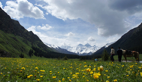 六月底的伊犁雪山,5月的伊犁草原