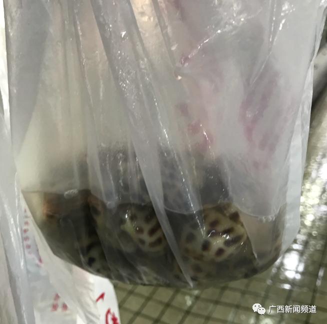 南宁海鲜市场缺斤少两,南宁厢竹海鲜市场准备要拆吗