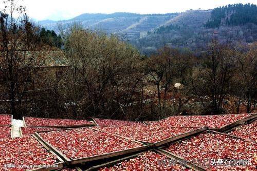 青州之两岸原声赞不住轻舟可看万重山