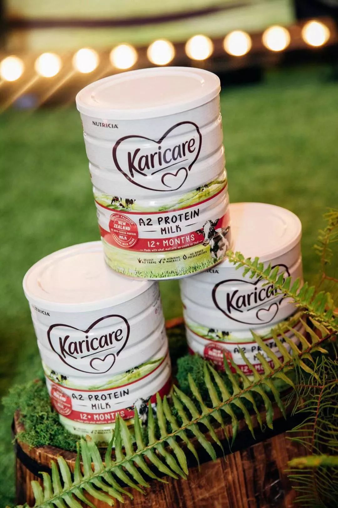 澳洲奶粉是真是假,澳洲最好的奶