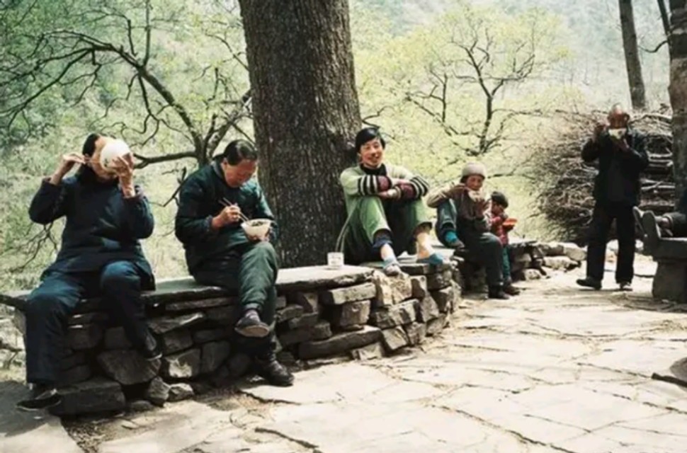 野猪毁坏庄稼如何驱赶野猪怕什么,野猪祸害庄稼红薯