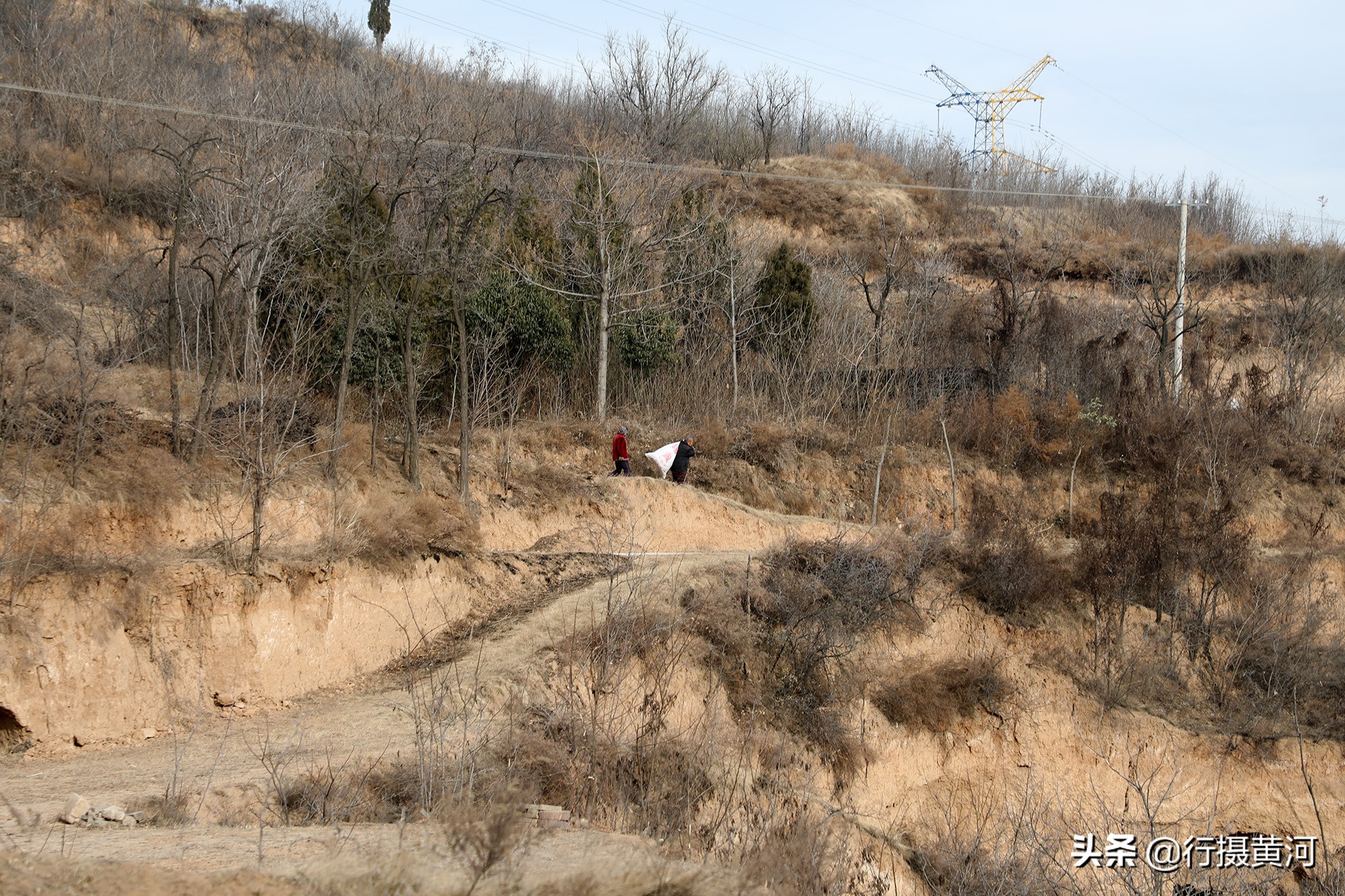 六十五岁大妈打工,65岁大妈打工视频