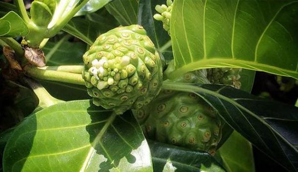 不老女神明星李英爱,51岁李英爱冻龄神颜的原因