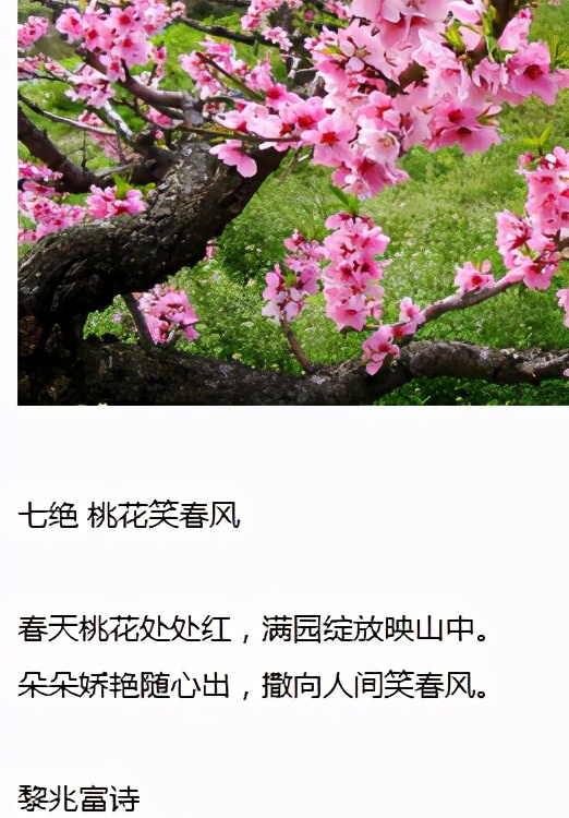 2024全国首届盛世杯,全国首届盛世千蕴杯诗词艺术大赛