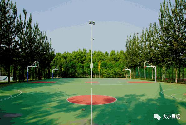 盘点北京适合遛娃的六个地方,周末免费遛娃好去处北京