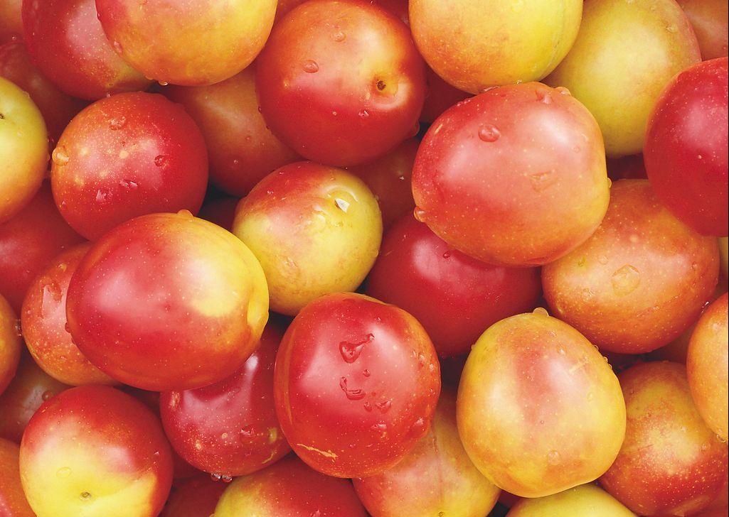 被兽医列入“黑名单”的几种水果，宠主不要再喂了