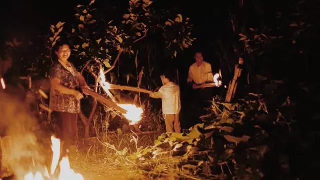 这是一个充满生机的公园怎么说,这是一个充满生机的国度朗诵