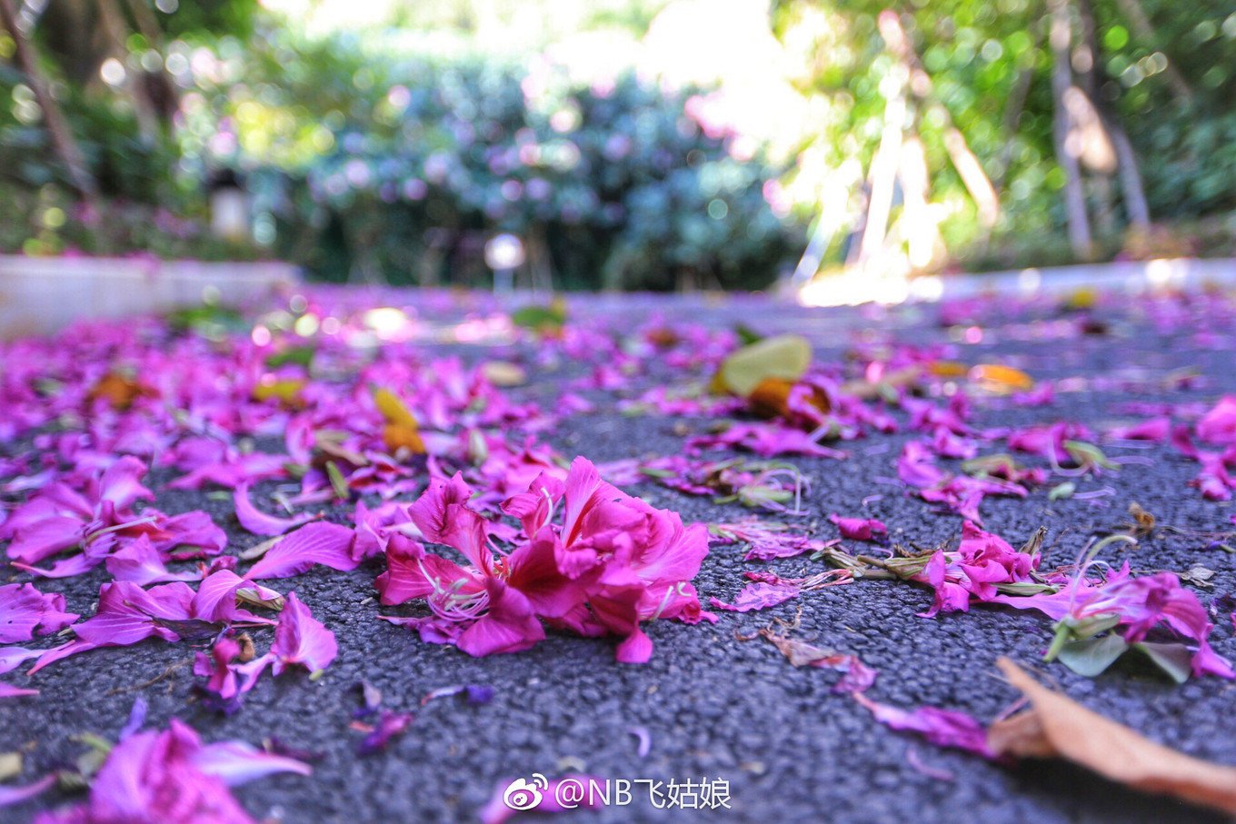 天寒地冻也有一缕阳光,寒冷的冬天寻找温暖的地方