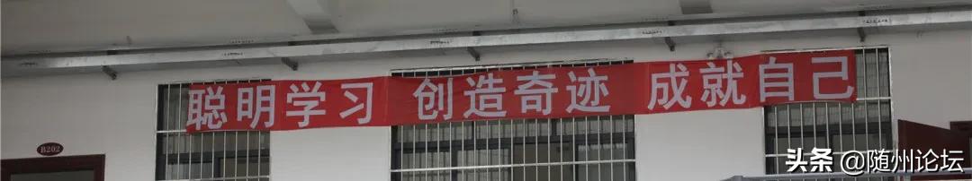 湖北曾都一中复学,好久不见武汉纪录片免费观看