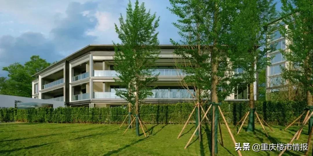 29盘去化率最好的楼盘,解盘2022