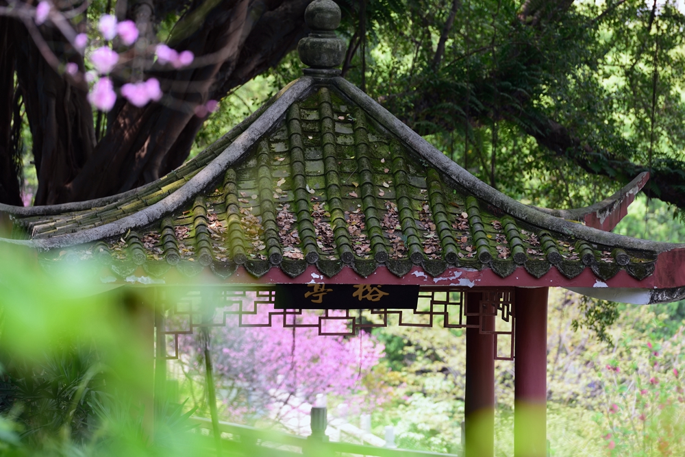 摄影就是记录流逝的时光,摄影捕捉生活的美好瞬间