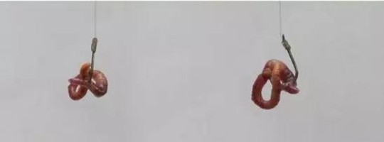 野钓鲫鱼什么季节用行程漂,野钓鲫鱼什么季节最合适