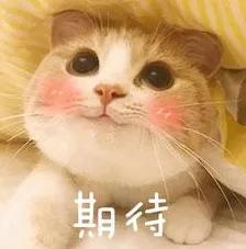 走进洛阳涧西区,走进洛阳市