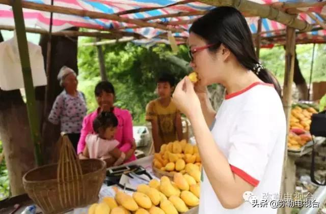 弥勒千亩西瓜熟了！黄心瓜、红心瓜、小香瓜…你喜欢哪种？