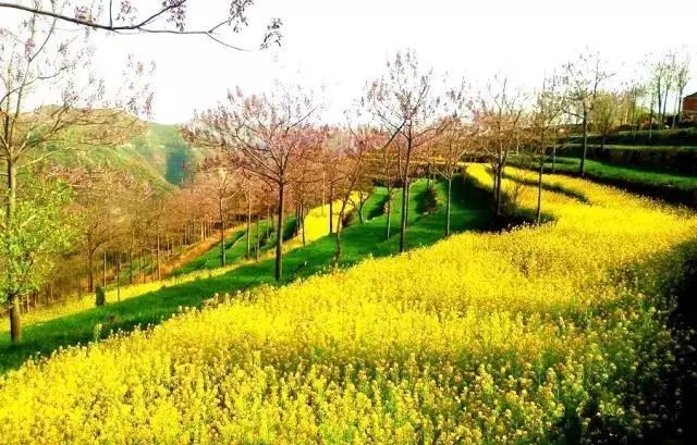 珏山景区旅游攻略,晋城珏山旅游景点大全