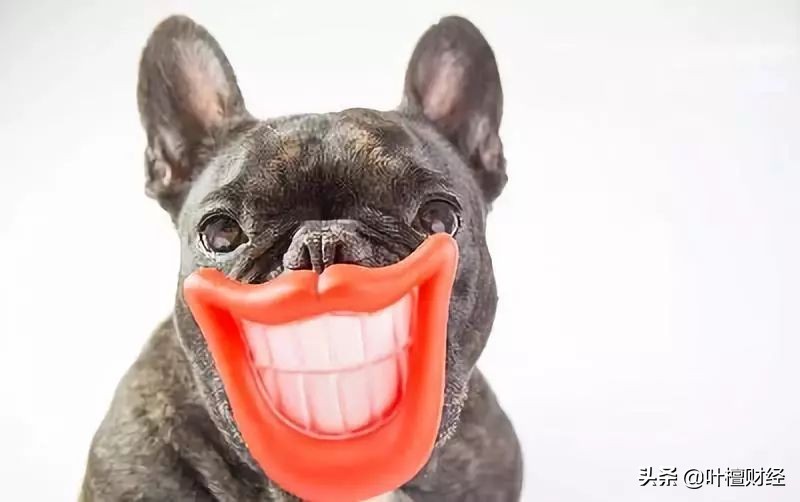 偏见让你爆仓!记住这两点涨8倍只是开始!