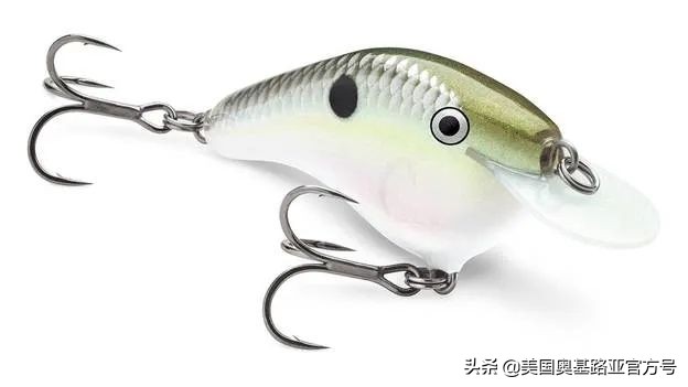 全国渔具展会2024时间表,全国渔具展2024