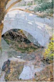 沈阳音乐学院院校代号,辽宁三所高校