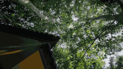 为什么南京都是六朝古都,南京一座去都不想去的城市