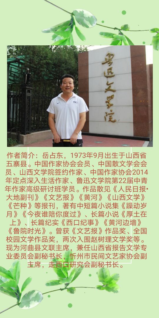 岳占东//遭遇“*贩票**子”