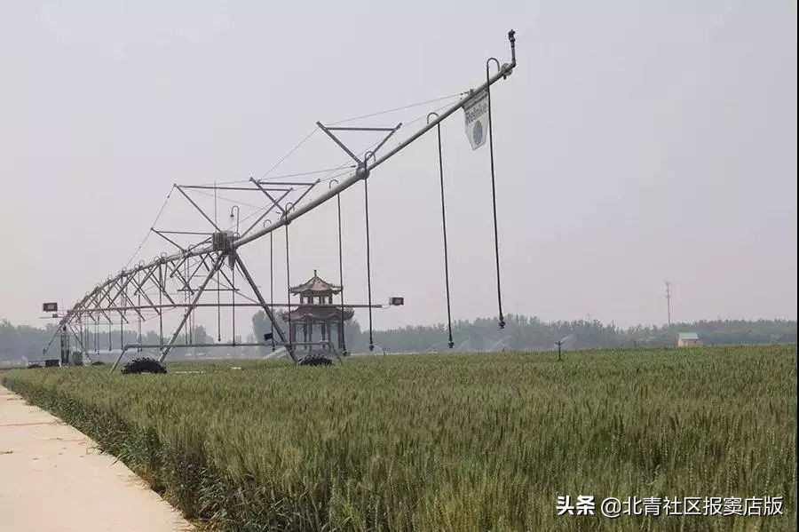 搜一搜就知道了,搜一搜商家会怎么样