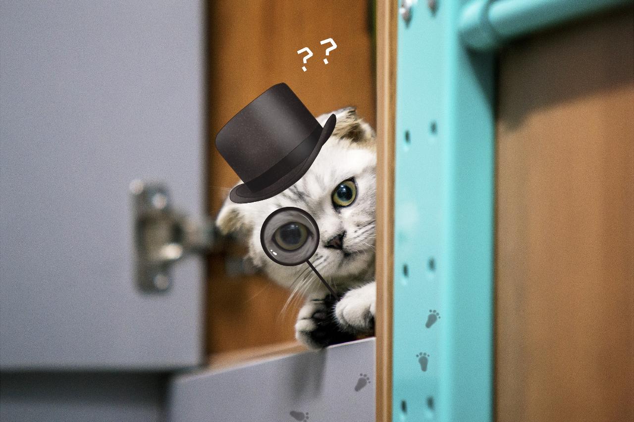 歌手爆自己“囤”了四年的卫生纸，“囤”咋说？buyalot？