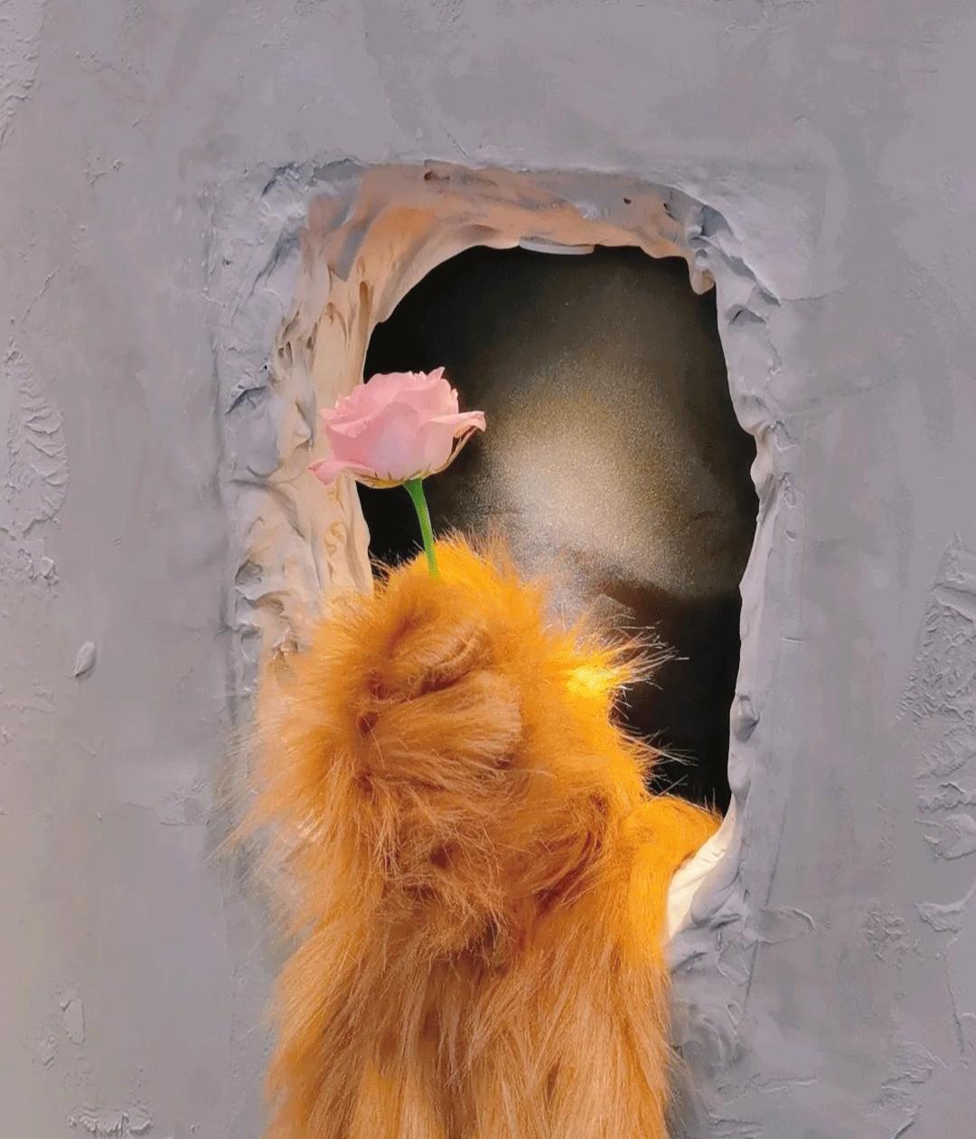 破防了！沈阳这10家绝美新店堪称颜狗天堂