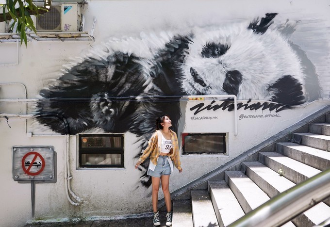 除了高铁还有什么方法去香港,哪个地方坐高铁可以去香港