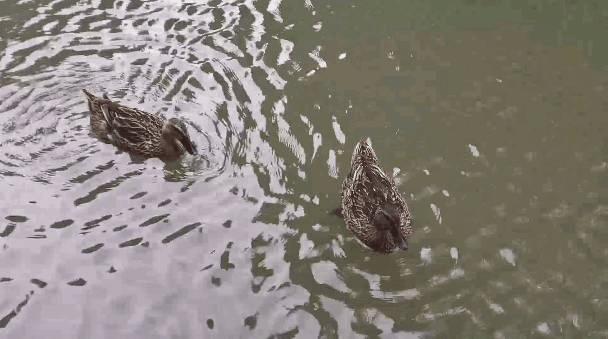 华为mate20pro慢动作拍摄教程,华为mate20慢动作