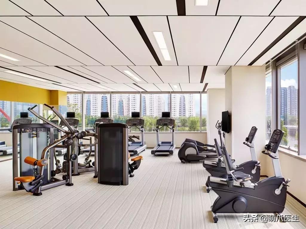 带宠物住宿酒店,带宠旅行酒店